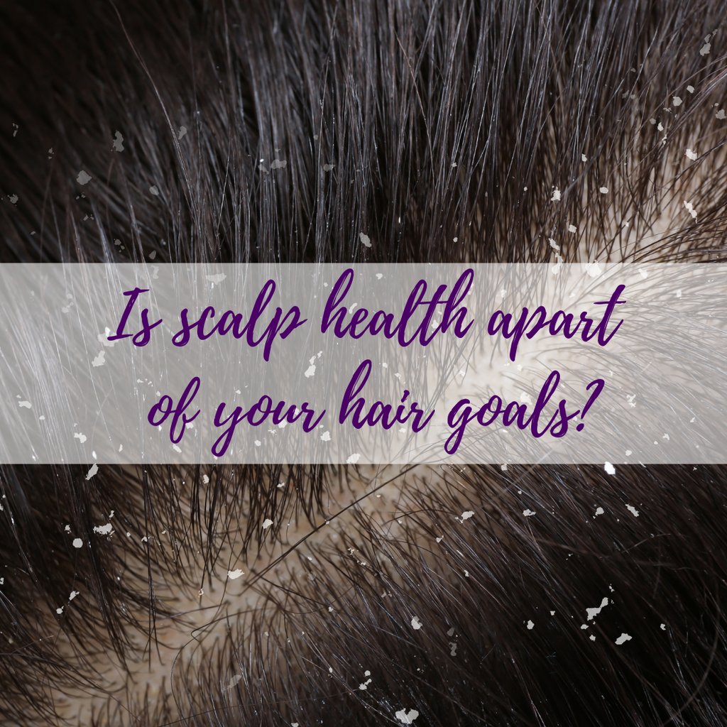 Revitalize Your Hair: The Crucial Role of Scalp Health